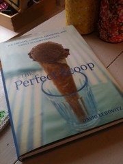 cover perfect scoop.jpg gf.jpg