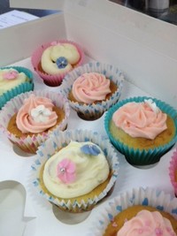 Wi beautiful cupcake boxes.JPG gf.jpg