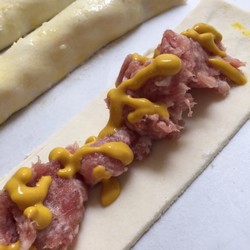 sausage and mustard shotgf.jpg