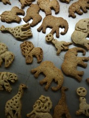 animal crackers jpeg.jpg