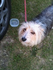 camping gorgeous cocoa.jpg gf.jpg