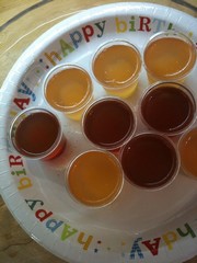 jelly shots from above.jpg gf.jpg